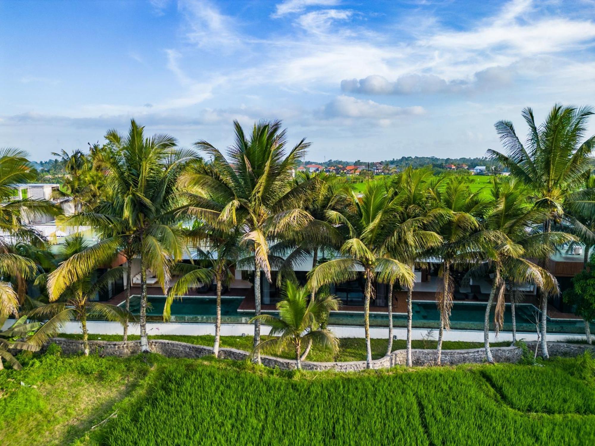 Green Flow Ubud Villa 20 Buitenkant foto