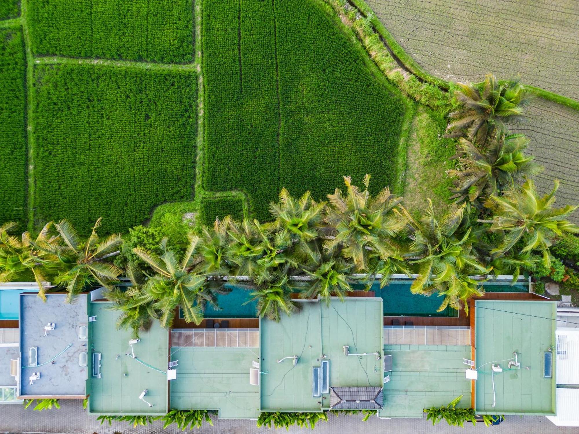 Green Flow Ubud Villa 20 Buitenkant foto