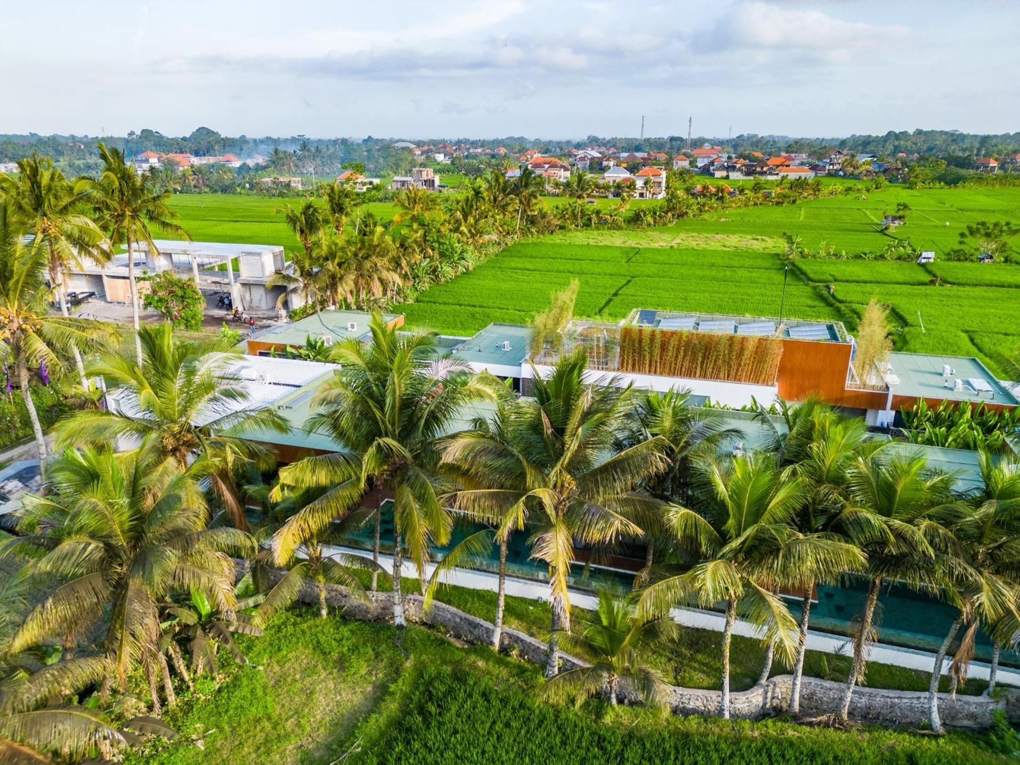 Green Flow Ubud Villa 20 Buitenkant foto